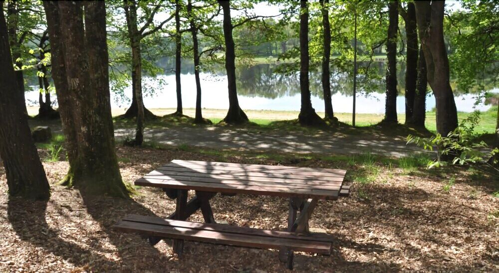Terres De France - Le Domaine Du Moulin Neuf Otel Rochefort-en-Terre Dış mekan fotoğraf
